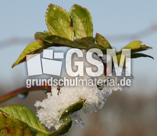 Winterimpressionen 044.jpg